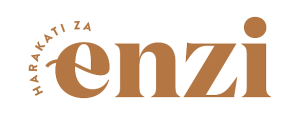 hze logo